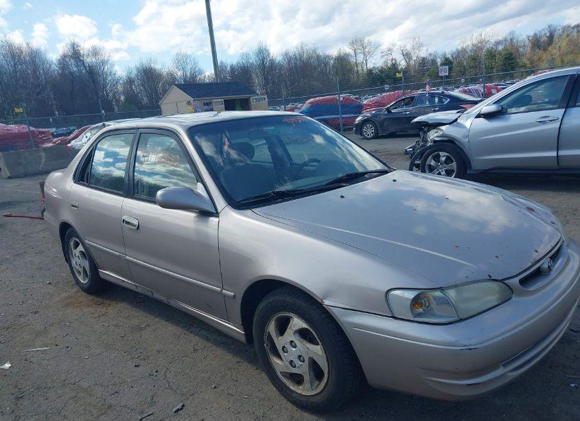 1999 Toyota Corolla LE (VIN 1NXBR18E1XZ142473) main photo