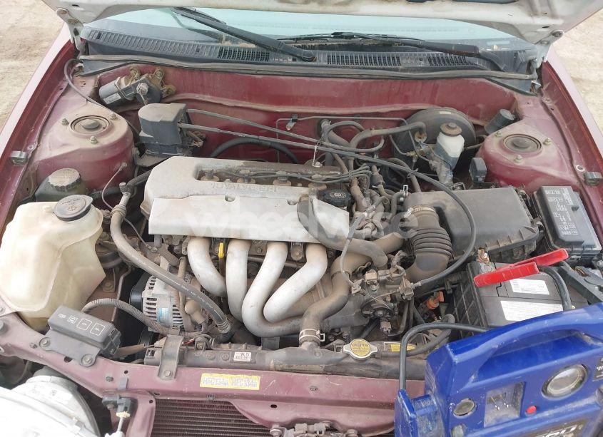 Photo 10 of 1998 Toyota Corolla LE (VIN 1NXBR18E8WZ082304)