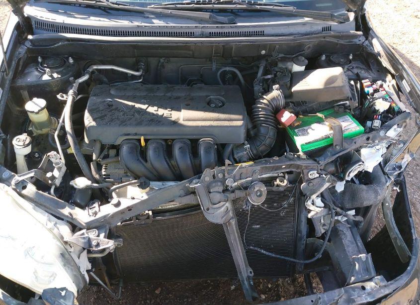 Photo 10 of 2007 Toyota Corolla LE (VIN 1NXBR30E07Z807547)