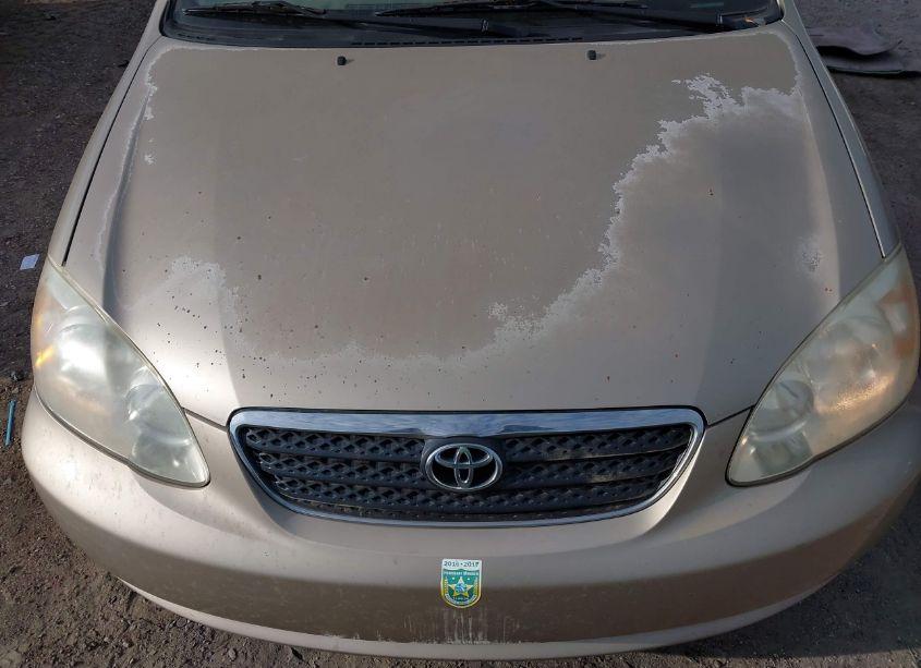 Photo 6 of 2008 Toyota Corolla CE (VIN 1NXBR32E08Z975039)