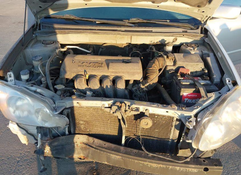 Photo 10 of 2003 Toyota Corolla S (VIN 1NXBR32E53Z000707)