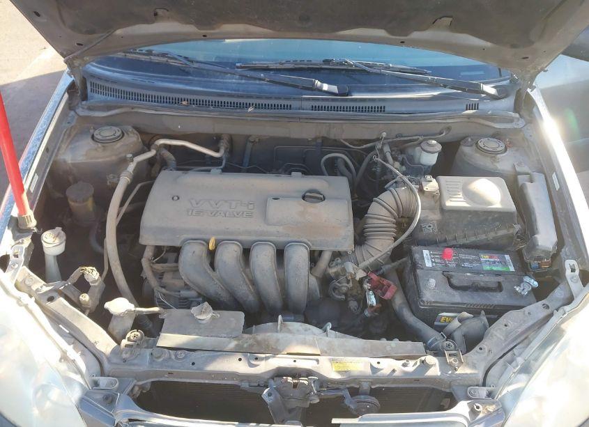 Photo 10 of 2003 Toyota Corolla CE (VIN 1NXBR32E53Z009987)