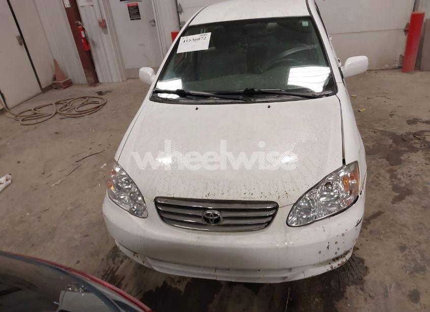 Photo 6 of 2003 Toyota Corolla LE (VIN 1NXBR32E53Z186569)