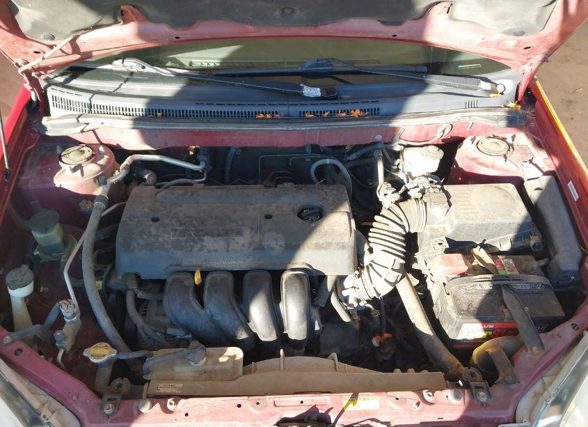 Photo 10 of 2008 Toyota Corolla LE (VIN 1NXBR32E58Z948239)