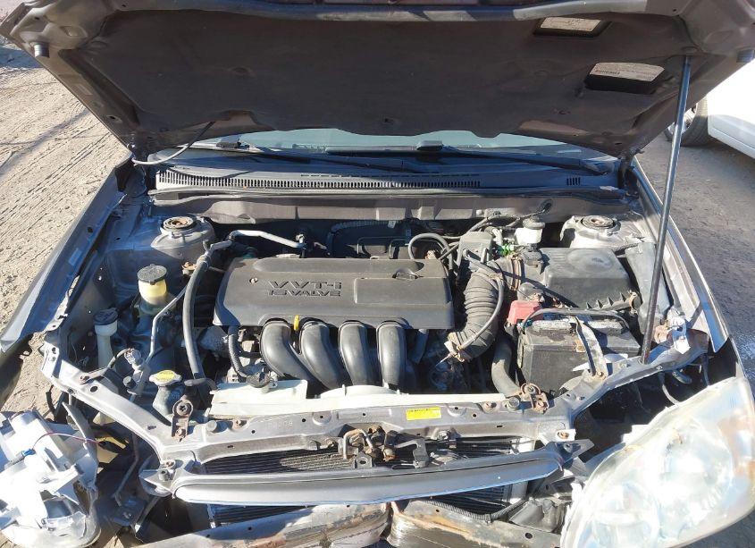 Photo 10 of 2003 Toyota Corolla LE (VIN 1NXBR32E63Z179369)