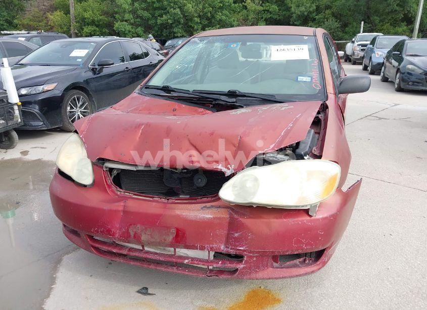 Photo 6 of 2004 Toyota Corolla LE (VIN 1NXBR32E64Z330454)