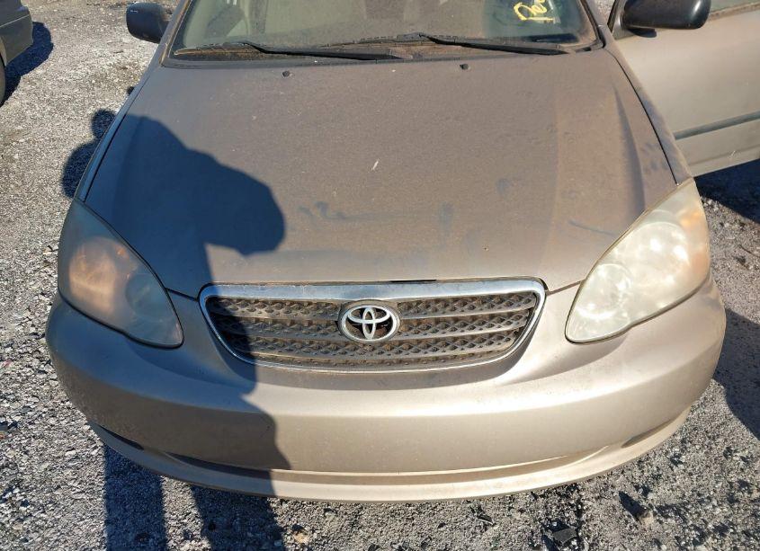 Photo 6 of 2008 Toyota Corolla CE (VIN 1NXBR32E68Z973358)