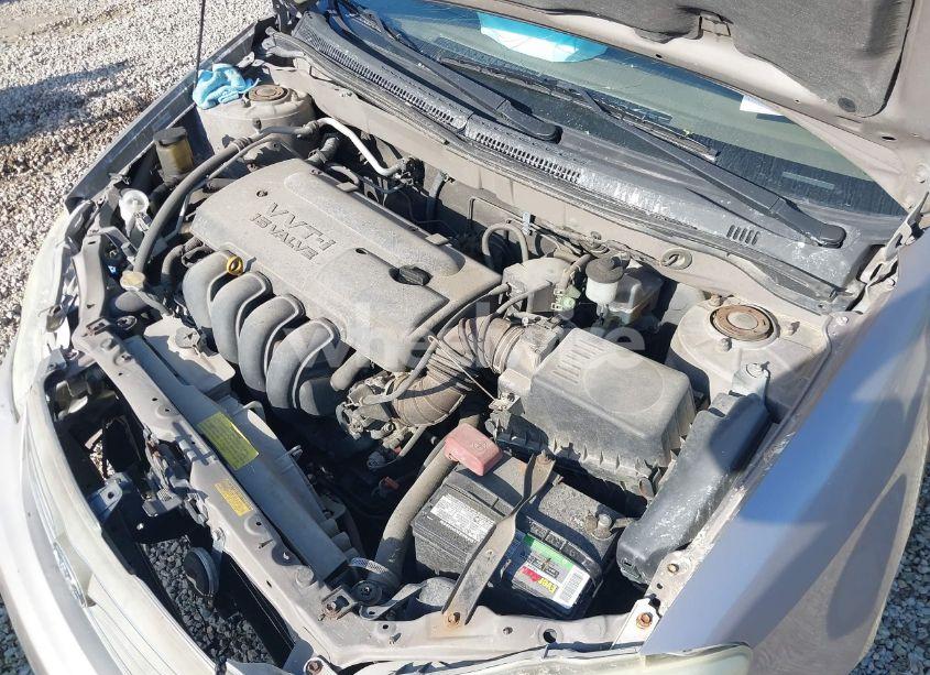 Photo 10 of 2003 Toyota Corolla LE (VIN 1NXBR32E73Z122503)