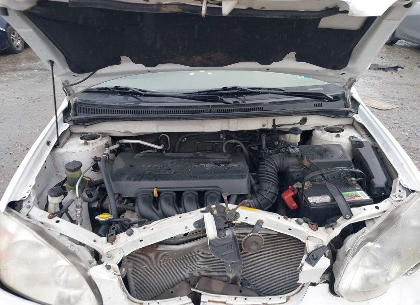 Photo 10 of 2008 Toyota Corolla LE (VIN 1NXBR32E78Z035675)