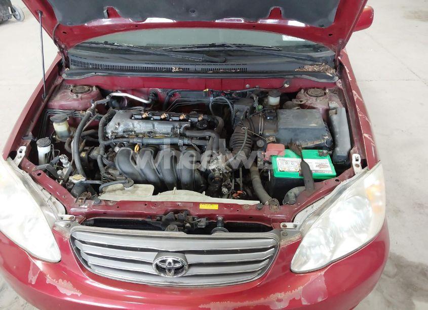 Photo 10 of 2003 Toyota Corolla LE (VIN 1NXBR32E83Z060528)