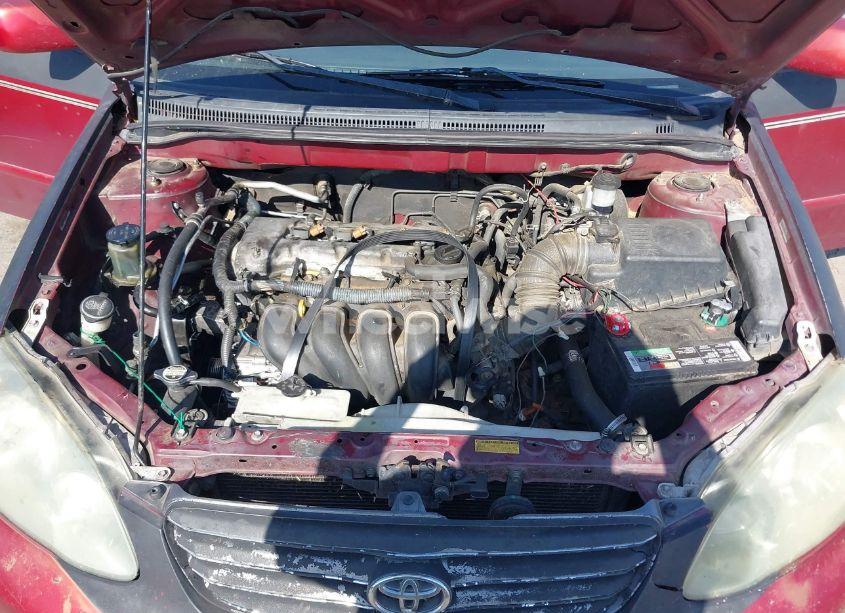 Photo 10 of 2003 Toyota Corolla S (VIN 1NXBR32E83Z083002)