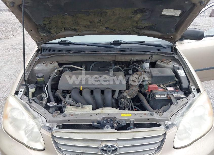 Photo 10 of 2004 Toyota Corolla CE/LE/S (VIN 1NXBR32E94Z212026)