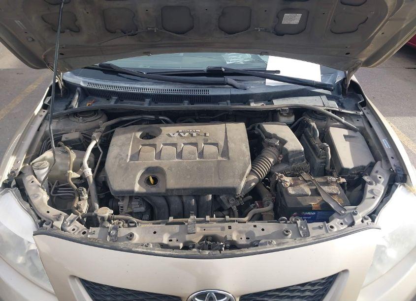 Photo 10 of 2009 Toyota Corolla LE (VIN 1NXBU40E09Z006785)