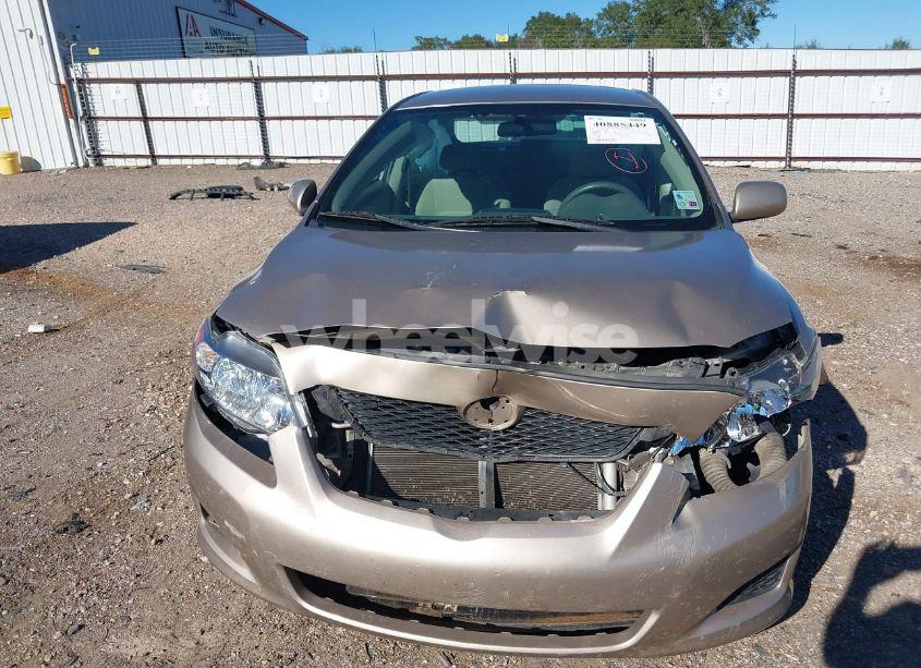 Photo 6 of 2009 Toyota Corolla LE (VIN 1NXBU40E09Z037471)