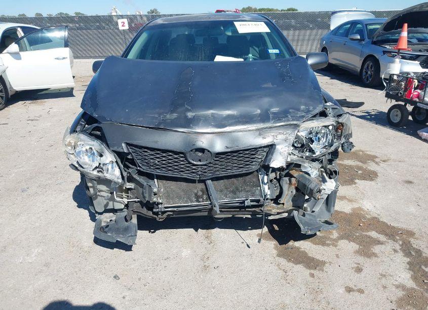 Photo 12 of 2009 Toyota Corolla XLE (VIN 1NXBU40E09Z042279)