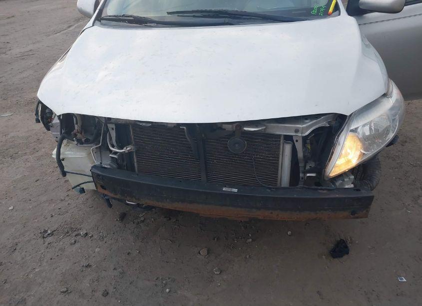 Photo 6 of 2009 Toyota Corolla LE (VIN 1NXBU40E09Z079509)