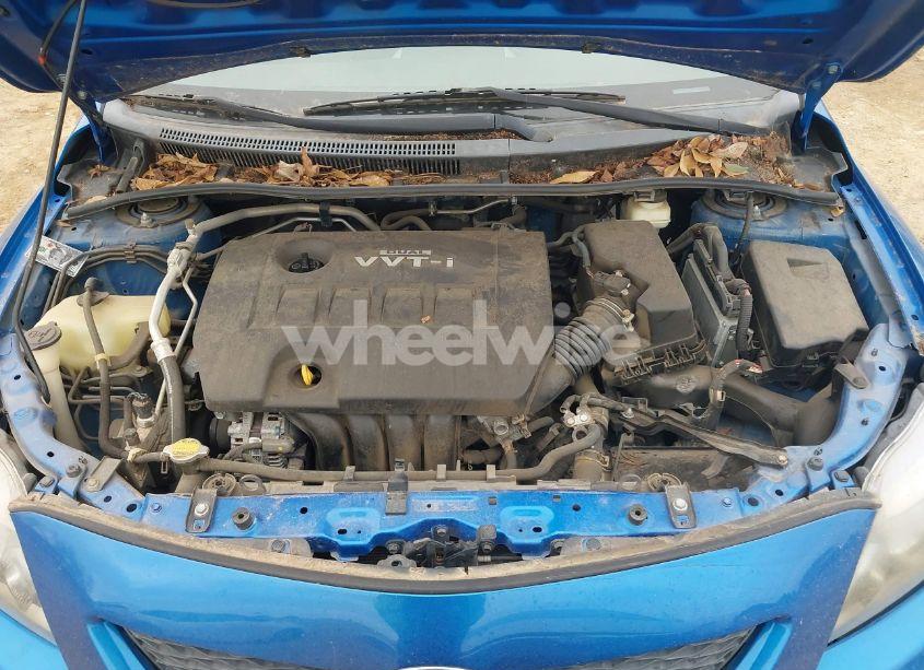 Photo 10 of 2009 Toyota Corolla S (VIN 1NXBU40E09Z081003)