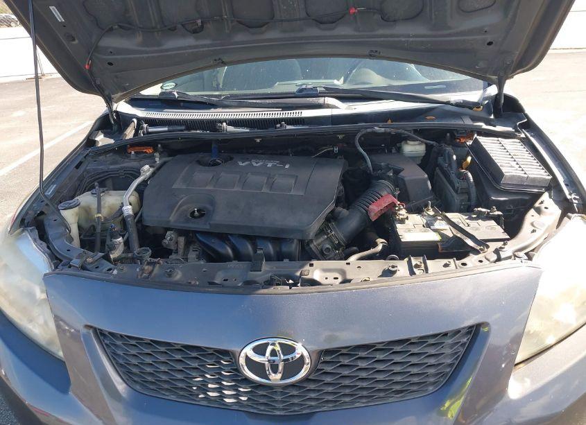 Photo 10 of 2009 Toyota Corolla XLE (VIN 1NXBU40E19Z014359)