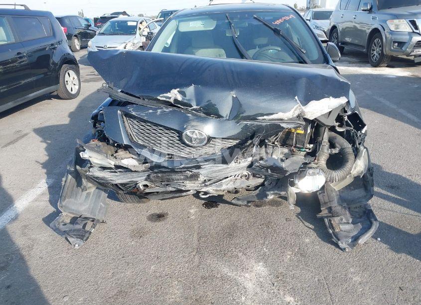 Photo 6 of 2009 Toyota Corolla LE (VIN 1NXBU40E19Z032229)