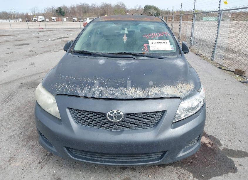 Photo 6 of 2009 Toyota Corolla LE (VIN 1NXBU40E19Z059155)