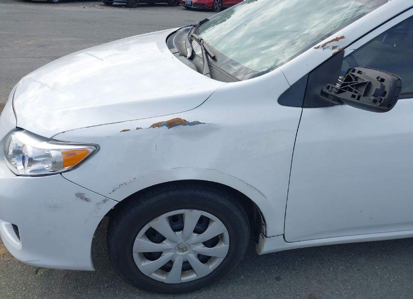 Photo 6 of 2009 Toyota Corolla LE (VIN 1NXBU40E19Z090373)