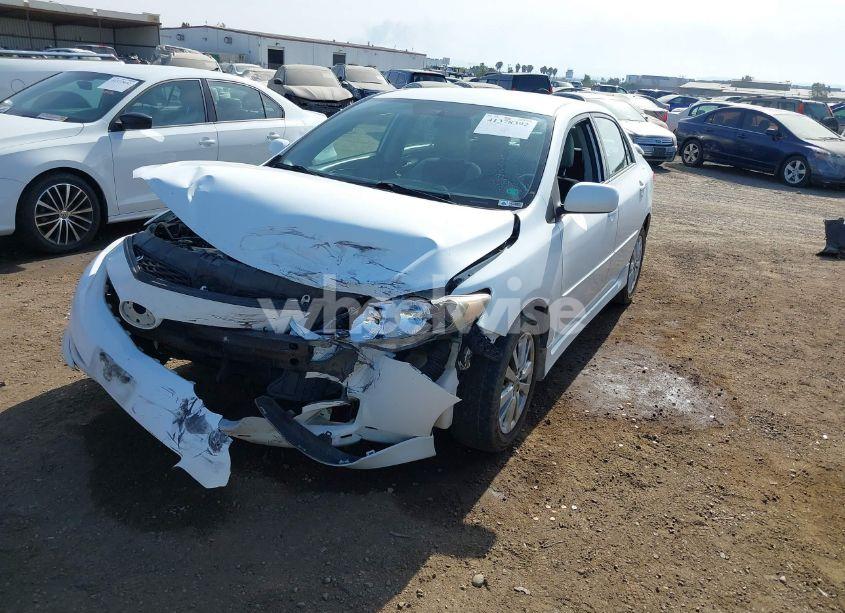 Photo 2 of 2009 Toyota Corolla S (VIN 1NXBU40E19Z151222)