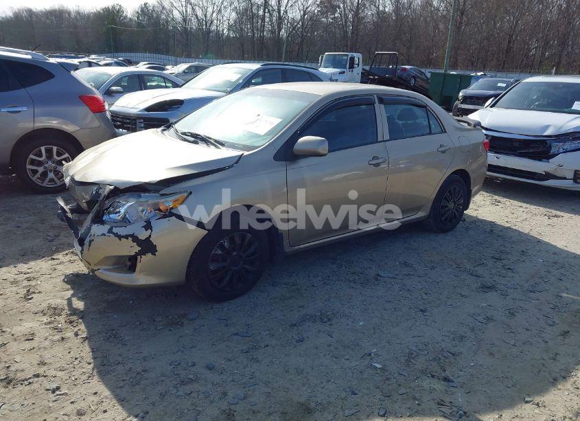 Photo 2 of 2009 Toyota Corolla LE (VIN 1NXBU40E29Z096893)