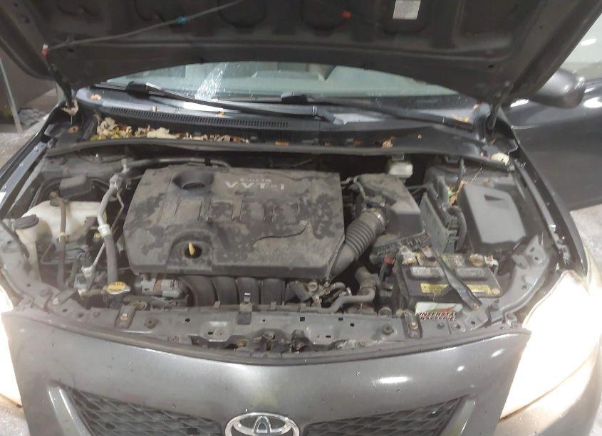 Photo 10 of 2009 Toyota Corolla LE (VIN 1NXBU40E29Z126586)