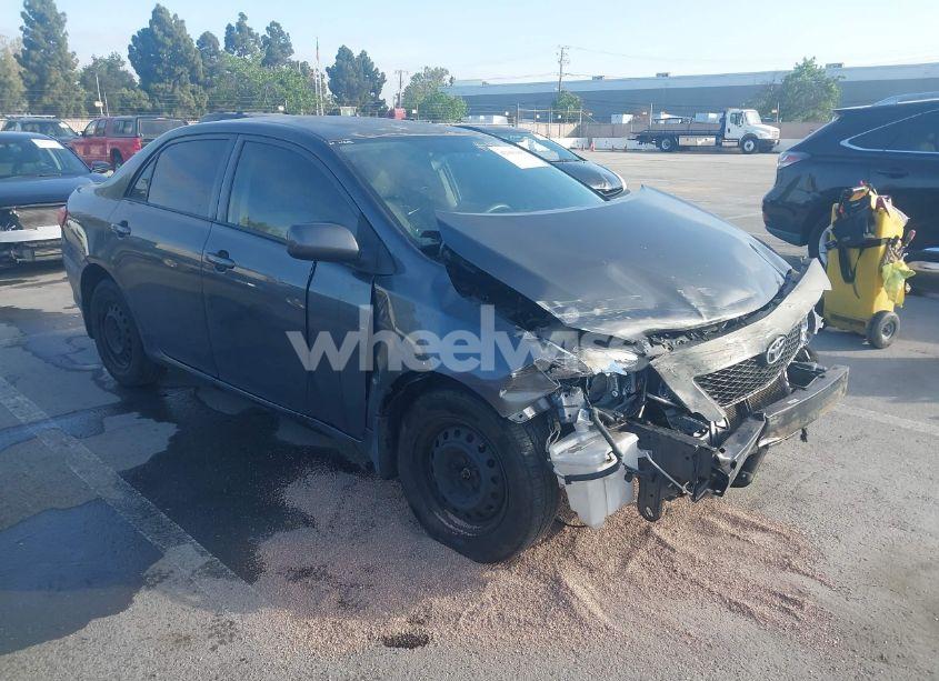 2009 Toyota Corolla LE (VIN 1NXBU40E29Z143324) main photo