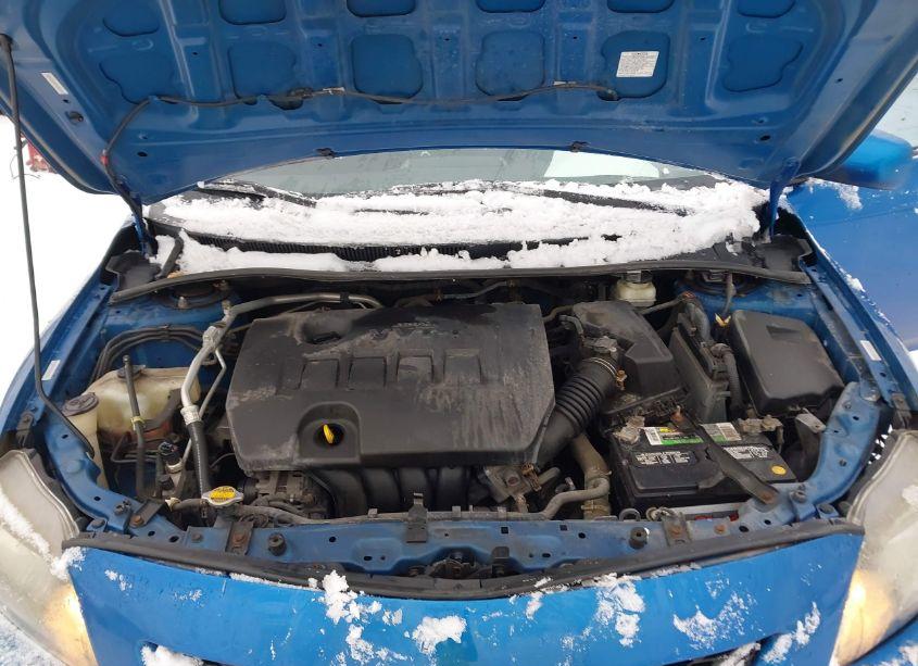 Photo 10 of 2009 Toyota Corolla S (VIN 1NXBU40E39Z067371)