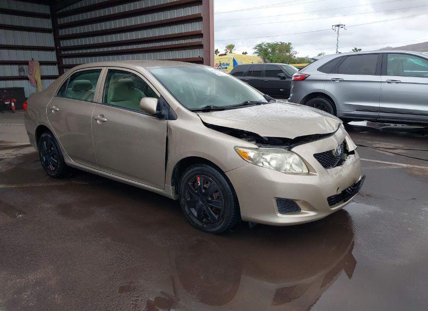 2009 Toyota Corolla LE (VIN 1NXBU40E39Z119484) main photo