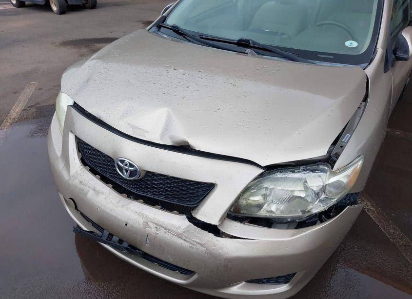 Photo 6 of 2009 Toyota Corolla LE (VIN 1NXBU40E39Z119484)