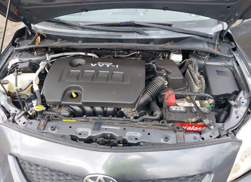 Photo 10 of 2009 Toyota Corolla LE (VIN 1NXBU40E49Z092408)