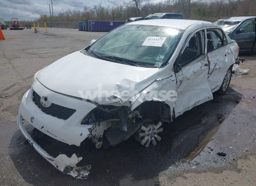 Photo 2 of 2009 Toyota Corolla LE (VIN 1NXBU40E59Z023792)