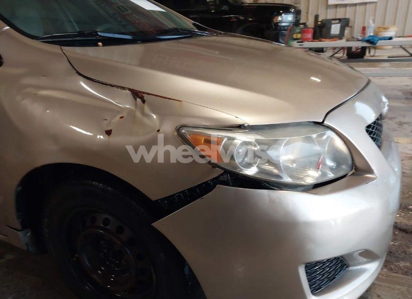 Photo 19 of 2009 Toyota Corolla LE (VIN 1NXBU40E59Z057232)