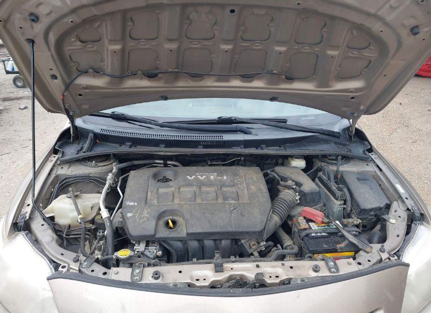 Photo 10 of 2009 Toyota Corolla LE (VIN 1NXBU40E59Z063919)