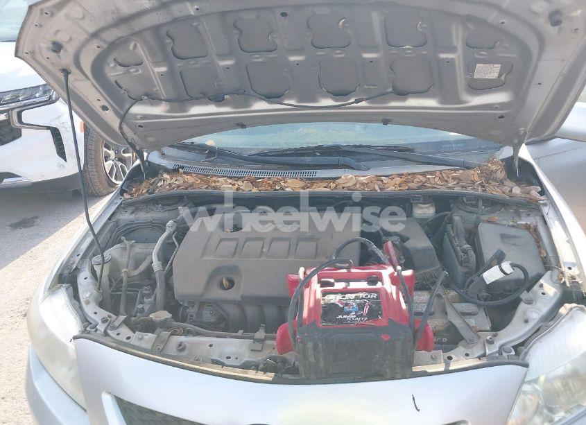 Photo 10 of 2009 Toyota Corolla LE (VIN 1NXBU40E59Z078727)