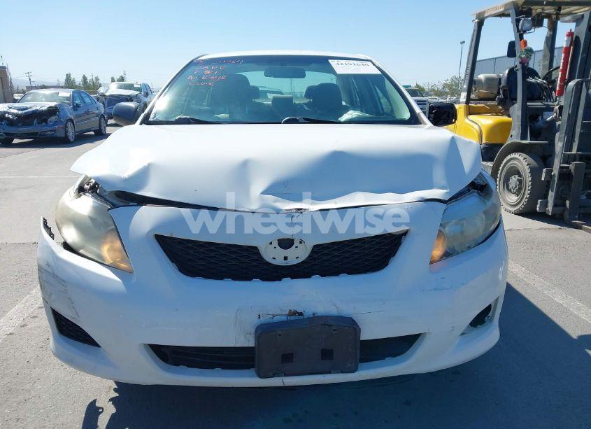 Photo 12 of 2009 Toyota Corolla LE (VIN 1NXBU40E59Z118546)