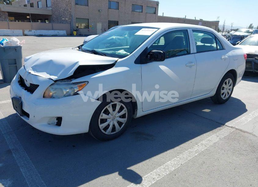 Photo 2 of 2009 Toyota Corolla LE (VIN 1NXBU40E59Z118546)