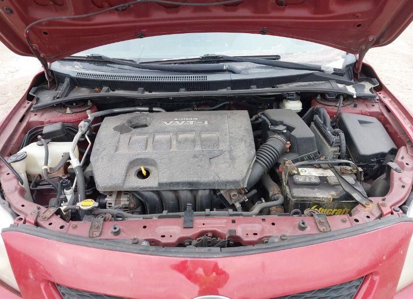 Photo 10 of 2009 Toyota Corolla LE (VIN 1NXBU40E69Z010758)