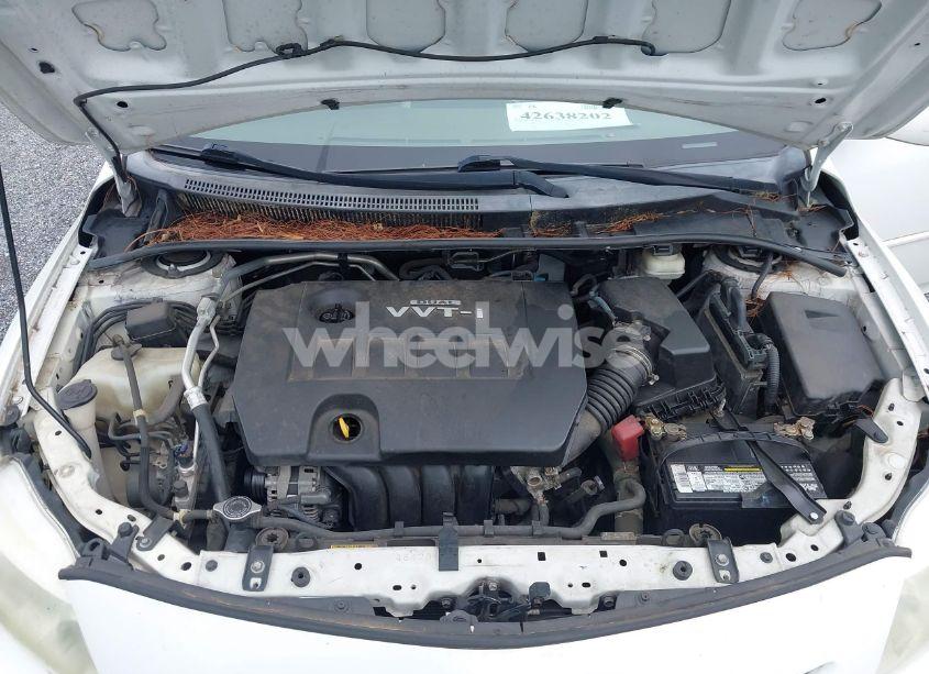 Photo 10 of 2009 Toyota Corolla XLE (VIN 1NXBU40E69Z067025)