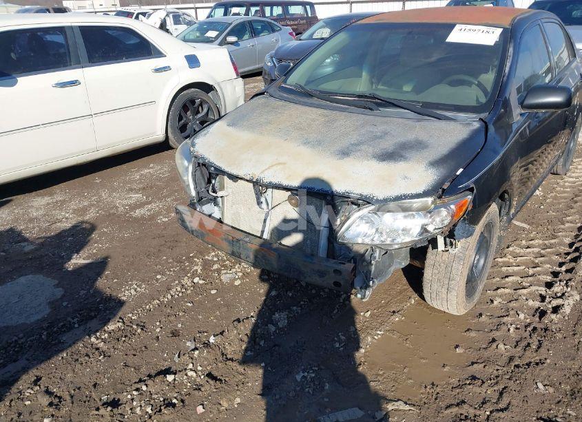 Photo 6 of 2009 Toyota Corolla LE (VIN 1NXBU40E69Z068935)