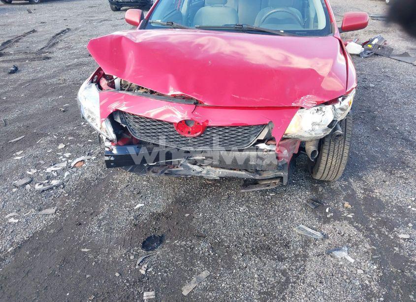 Photo 6 of 2009 Toyota Corolla LE (VIN 1NXBU40E69Z134464)