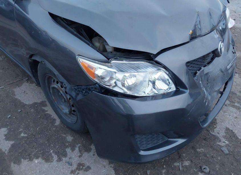 Photo 6 of 2009 Toyota Corolla LE (VIN 1NXBU40E69Z137266)