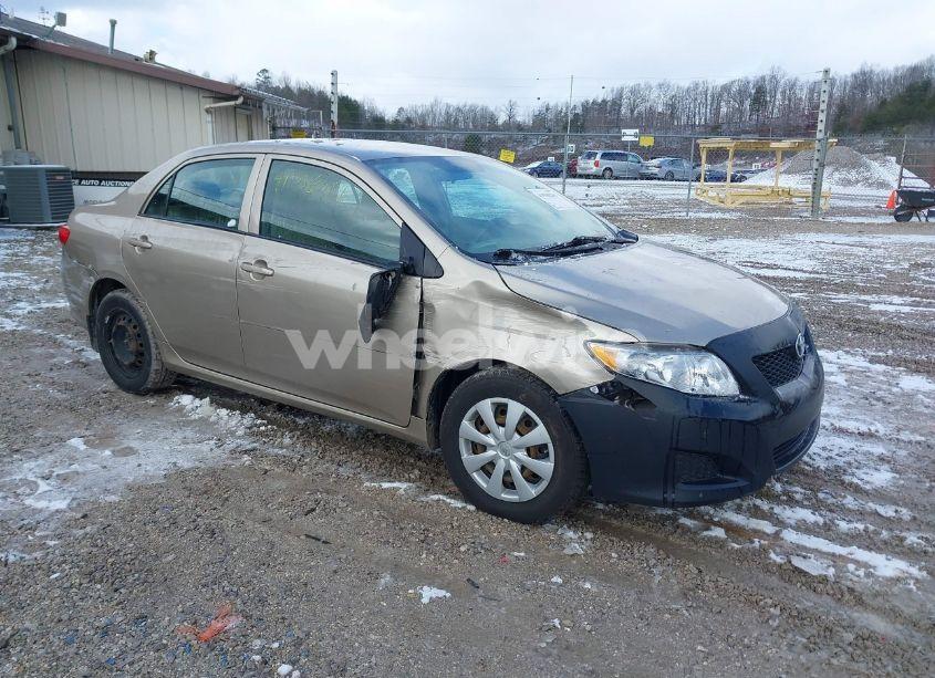 2009 Toyota Corolla LE (VIN 1NXBU40E79Z026533) main photo