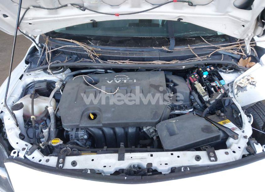 Photo 10 of 2009 Toyota Corolla LE (VIN 1NXBU40E79Z040464)