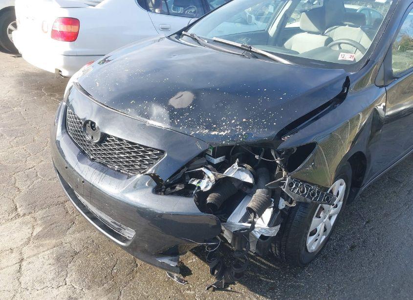 Photo 6 of 2009 Toyota Corolla LE (VIN 1NXBU40E79Z161012)