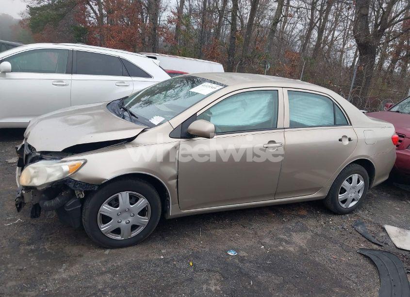 Photo 14 of 2009 Toyota Corolla LE (VIN 1NXBU40E79Z164489)