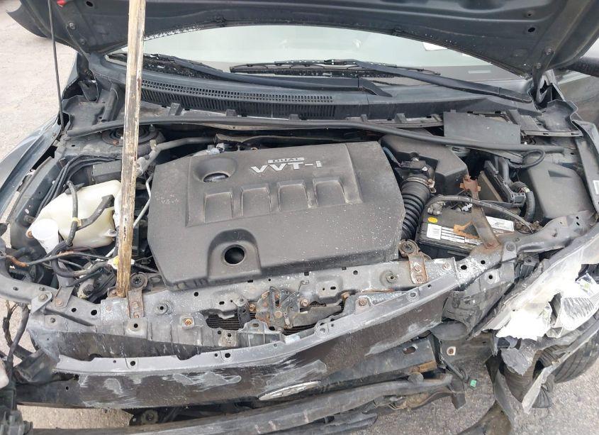 Photo 10 of 2009 Toyota Corolla LE (VIN 1NXBU40E89Z038612)