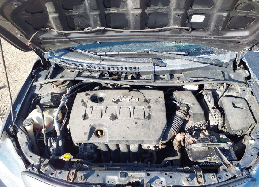 Photo 10 of 2009 Toyota Corolla S (VIN 1NXBU40E89Z094923)